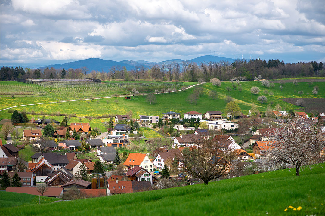 SEK-AG_SEK-Immobilien
